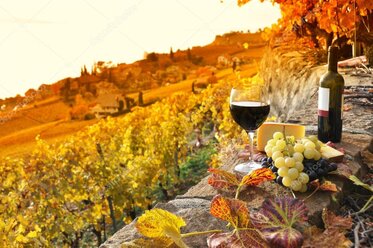 Swiss wine and cheese tasting in vineyard